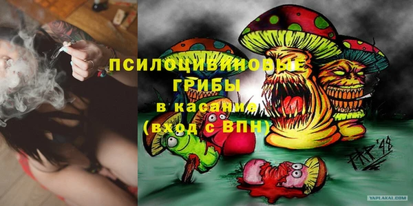 герыч Елабуга
